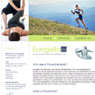 Eungella.co.uk: Website Portfolio Image